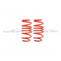 Suzuki Swift Sport ZC33S -30mm V-MAXX Lowering Springs