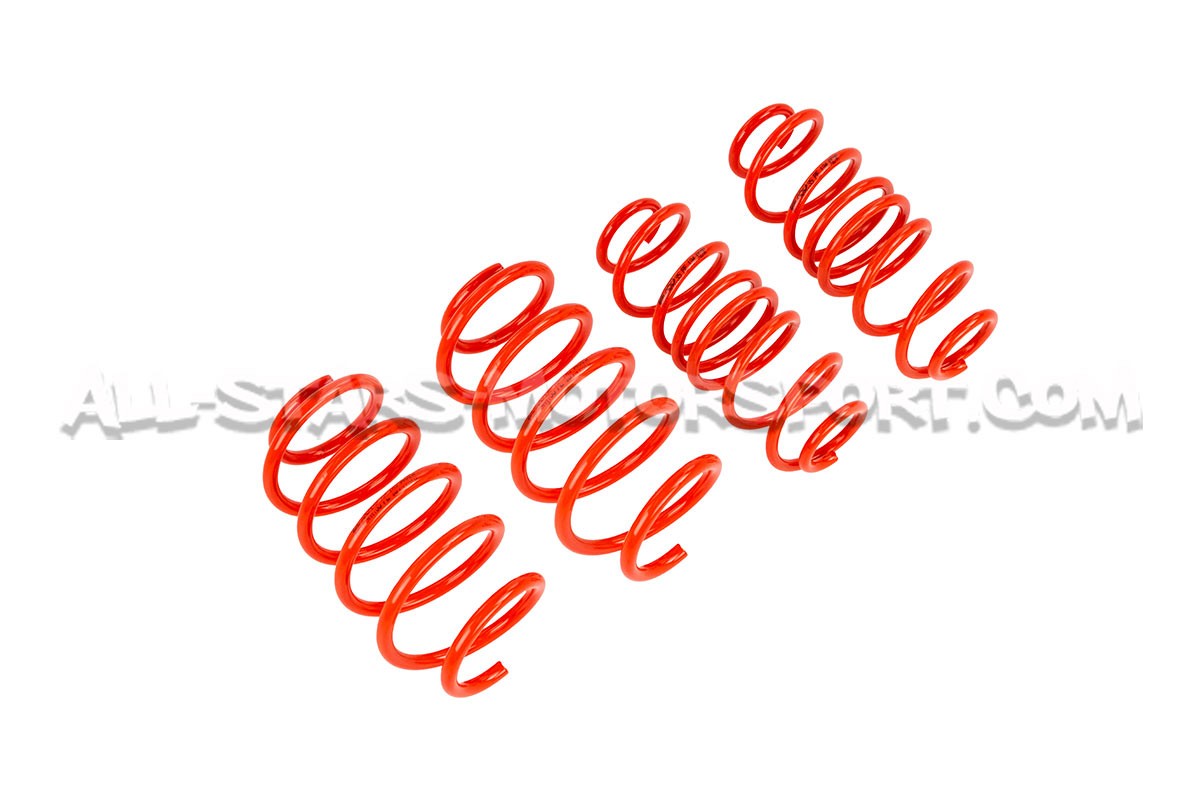 Ressorts courts V-MAXX -30mm pour Peugeot 208 GTI