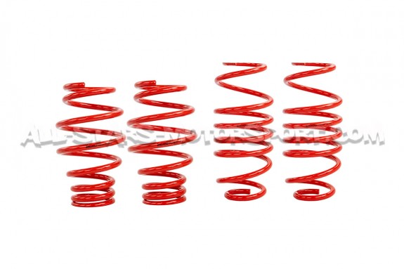 Ford Fiesta ST MK7 V-MAXX X-Street Coilover Kit
