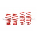 Kit combinés filetés V-MAXX X-Street pour Ford Fiesta ST MK7