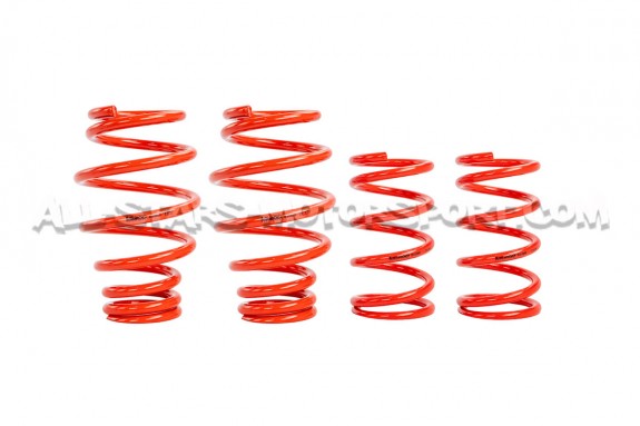 Suspension roscada V-MAXX X-Street para Renault Clio 4 RS