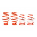 Kit combinés filetés V-MAXX pour Opel Corsa D OPC