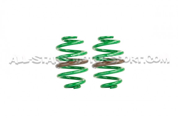 BMW M3 E36 Tein S-Tech -28mm Lowering Springs