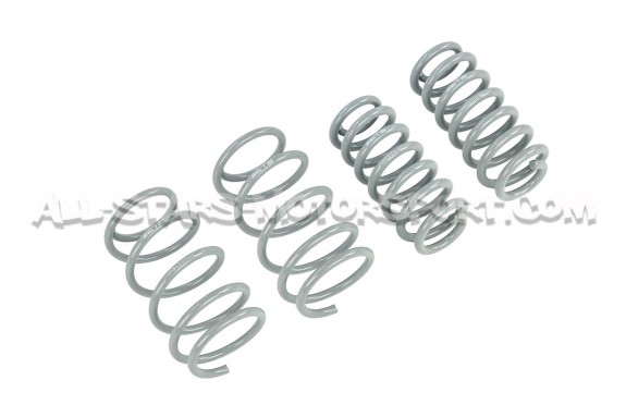 Golf 8 R CTS Turbo -20mm Sport Springs