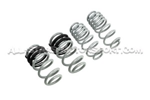 Audi A4 / S4 B8 CTS Turbo -50mm Sport Springs