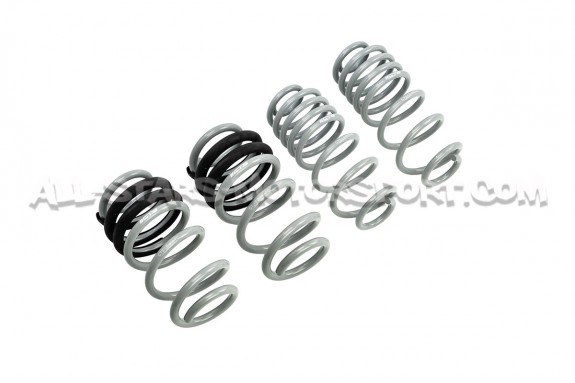 Audi A4 / S4 B8 CTS Turbo -50mm Sport Springs