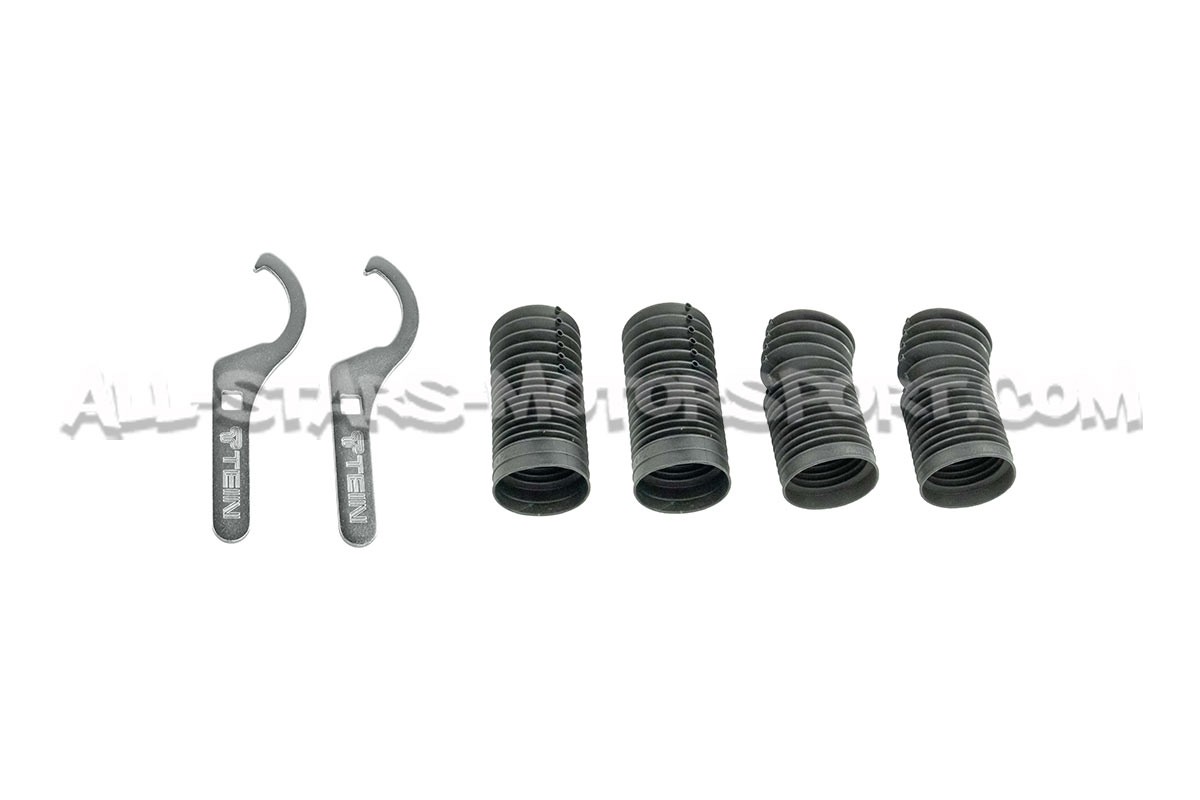 Suspension roscada Tein Street Basis Z / Street Advance Z para Hond...
