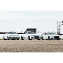 Racingline Door Decals Silver or Black