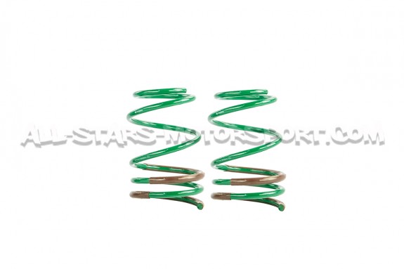 Mitsubishi Lancer Evo 10 Tein S-Tech -35mm Lowering Springs