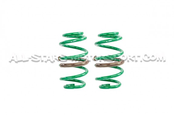Audi S4 B5 Tein S-Tech -47mm Lowering Springs