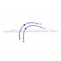 Latiguillos de freno metalicos Goodridge para Hyundai I20N