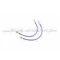 Latiguillos de freno metalicos Goodridge para Hyundai I20N