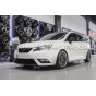 Polo 6R GTI / Polo 6C GTI / Ibiza 6J Cupra / Ibiza 6P Cupra V-MAXX Coilover Kit