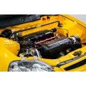 Collecteur d'admission carbone PracWorks pour Honda Civic Type R FN...