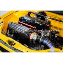 Collecteur d'admission carbone PracWorks pour Honda Civic Type R FN...