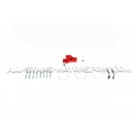 Collecteur d'admission carbone PracWorks pour Honda Civic Type R FN...