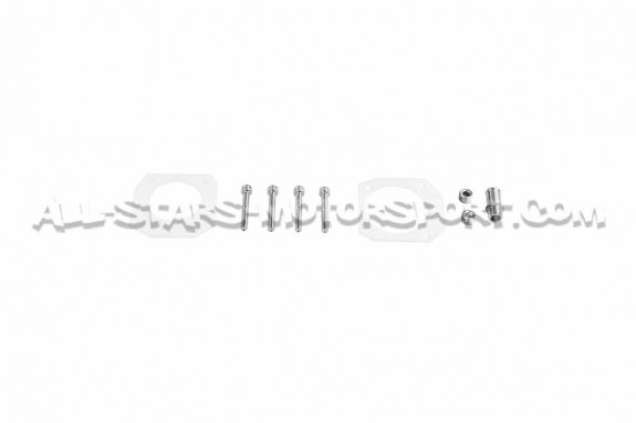 Collecteur d'admission carbone PracWorks pour Honda Civic EG6 / EK4...