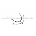 Latiguillos de freno metalicos Goodridge para Honda Civic Type R FL5