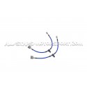 Honda Civic Type R FL5 Goodridge Braided Brake Hose Lines Kit