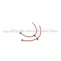 Latiguillos de freno metalicos Goodridge para Honda Civic Type R FL5