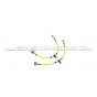 Honda Civic Type R FL5 Goodridge Braided Brake Hose Lines Kit