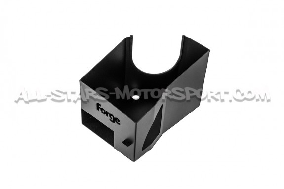 Admisión de carbono Forge Motorsport para Audi RS3 8V.5 / RS3 8Y