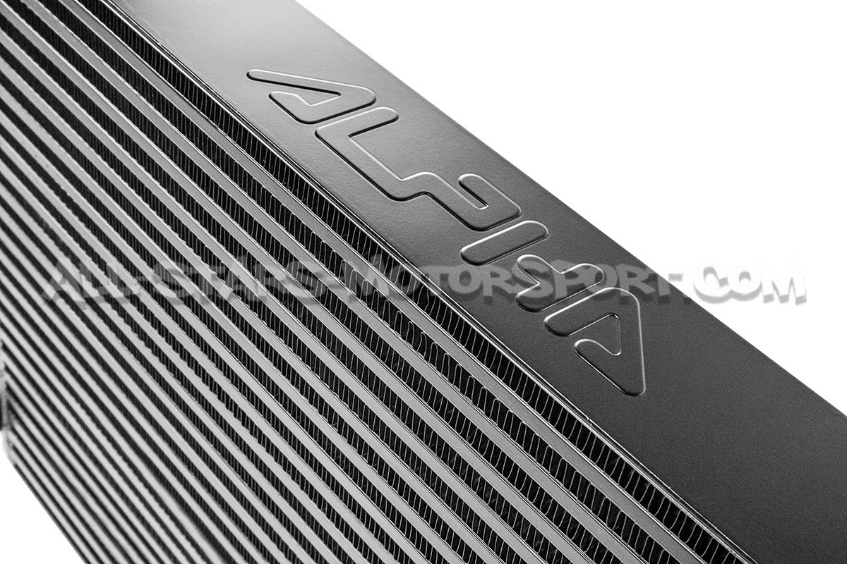 Intercambiador Alpha Competition para Golf 8 GTI / Golf 8 R / Cupra...