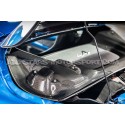 Alpine A110 1.8 TCE Gruppe M Carbon Fiber Intake System