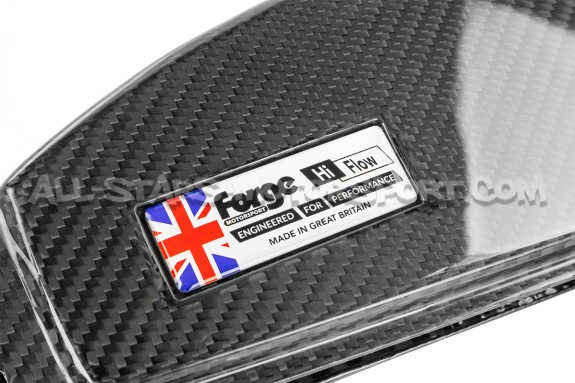 Golf 7 GTI / Golf 8 R / S3 8V / Leon 3 Cupra / S3 8Y 2.0 TFSI Forge...