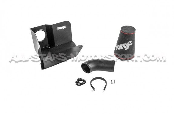 Admission Forge Motorsport pour Audi S3 8V / Golf 7 GTI / Golf 8 R ...
