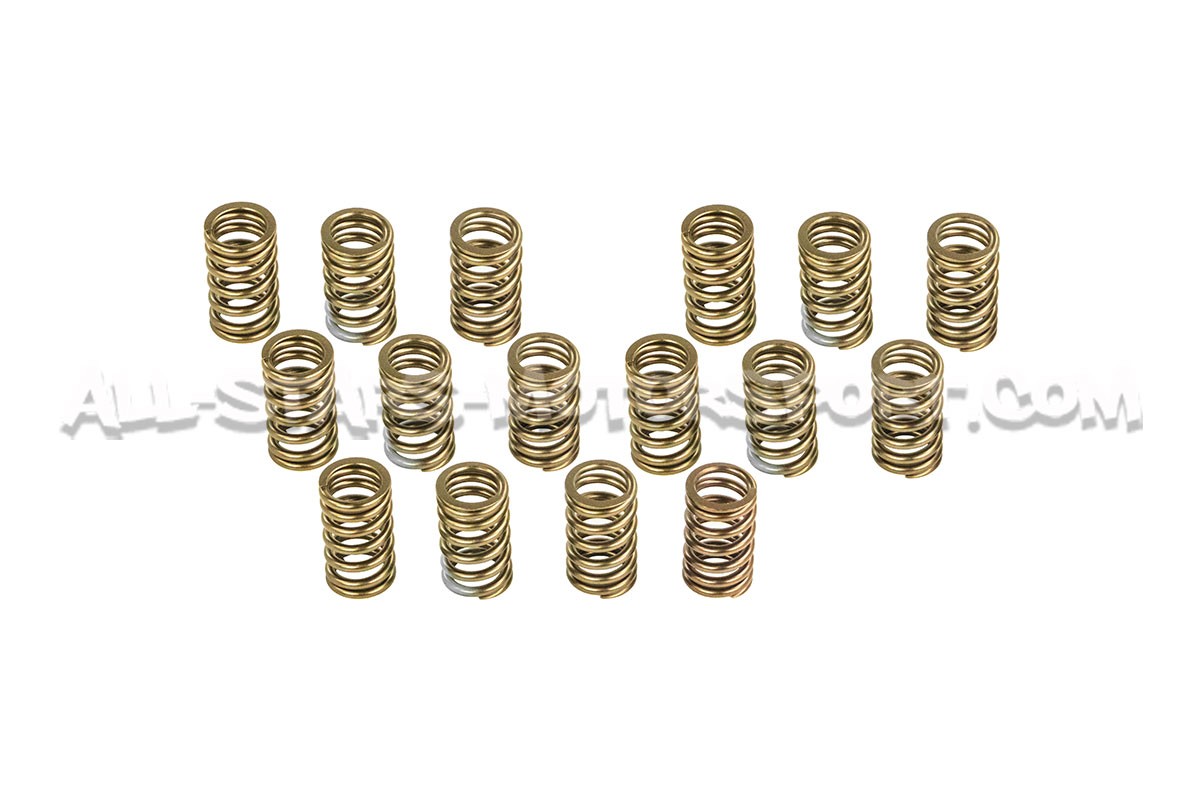 Mitsubishi Lancer Evo 8 / Evo 9 HKS Valve Springs Set