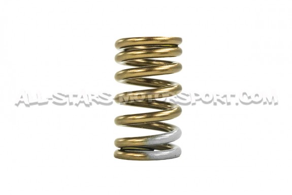 Kit ressorts de soupapes HKS pour Mitsubishi Lancer Evo 8 / Evo 9