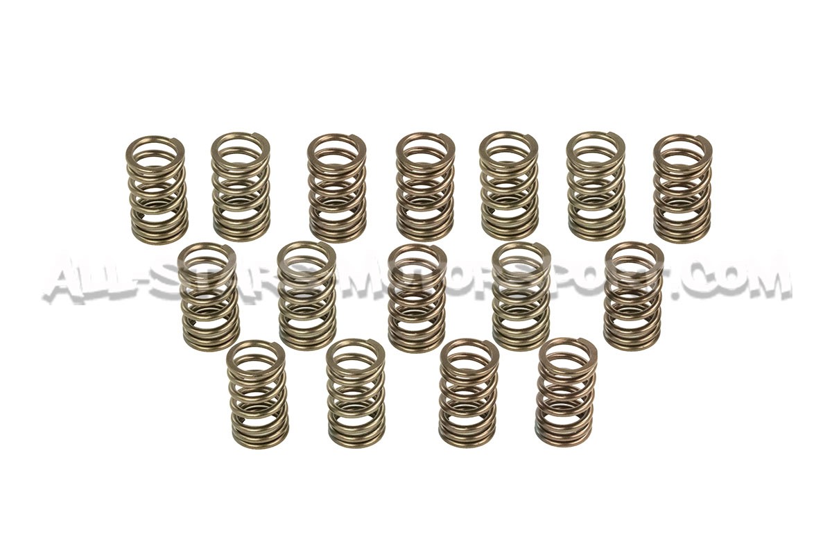 Kit de muelles de valvulas HKS para Nissan 200sx S14 SR20DET