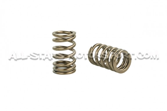 Nissan 200sx S14 SR20DET HKS Valve Springs Set