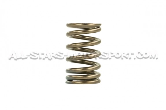 Kit de muelles de valvulas HKS para Nissan 200sx S14 SR20DET
