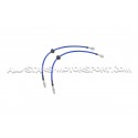 Lamborghini Aventador Goodridge Braided Brake Hose Lines Kit