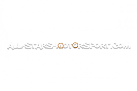 Lamborghini Aventador Goodridge Braided Brake Hose Lines Kit
