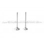 Kit de 16 soupapes Ferrea Special Alloy 6000 pour Honda Civic EG6 / EK4 B16