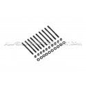 Mazda 3 MPS ARP Main Stud Kit