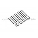 Goujons / vis de culasse ARP pour Mazda 3 MPS