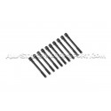 Vis de culasse ARP pour S3 8L / Leon 1M Cupra / TT 8N / Golf 4 GTI ...