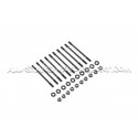 Honda Civic Type R EP3 / FN2 K20 ARP Head Stud Kit