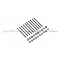 Tornillos / esparragos de culata ARP para Honda Civic EG6 / EK4 B16