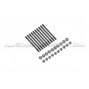 Tornillos / esparragos de ciguenal ARP para Nissan 350Z