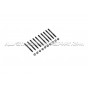 Renault Clio 3 RS and Megane 2 RS / Megane 3 RS ARP Main Stud Kit