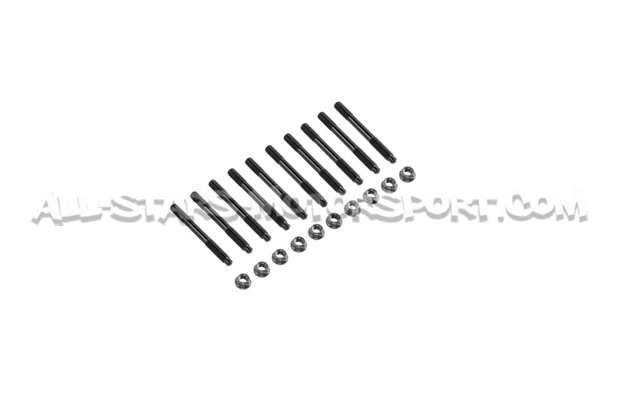 Renault Clio 3 RS and Megane 2 RS / Megane 3 RS ARP Main Stud Kit