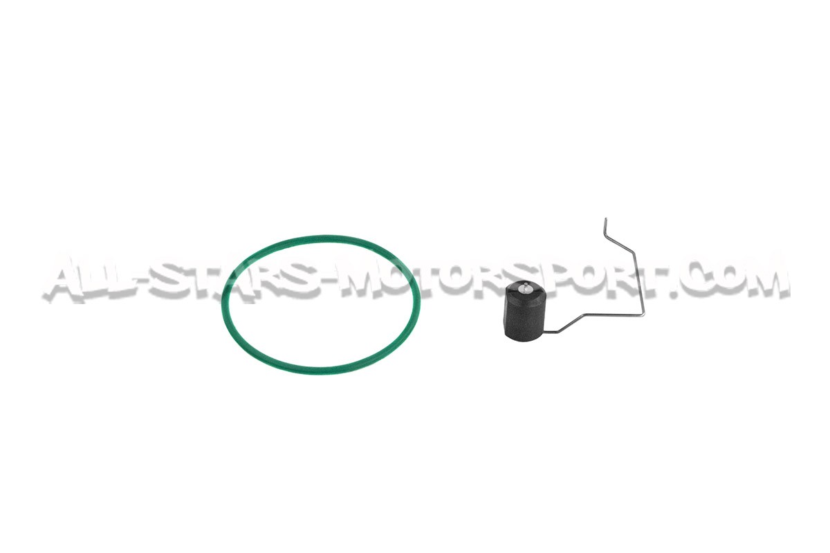 Deatschwerks DW400 Fuel Pump Module For BMW M2 / M135i / M235i / 335i / 435i N55 F-series