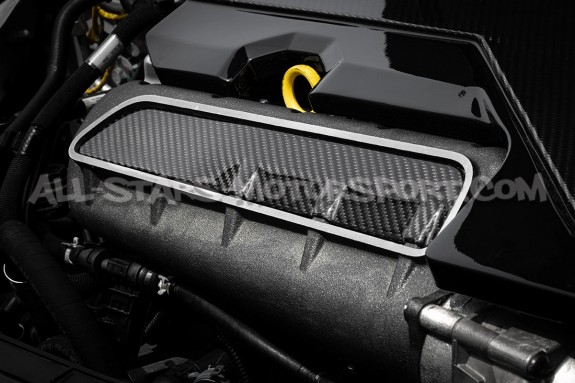 Insert carbone APR pour collecteur d'admission de Audi RS3 / TTRS /...