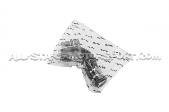 Alpha Competition Mini Cooper S R53 Silicone Inlet Hose