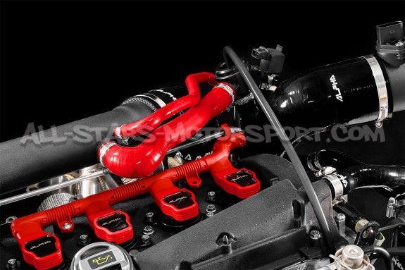 Audi S3 8L / TT 225 / Leon 1M Cupra Alpha Competition N75 and Diver...